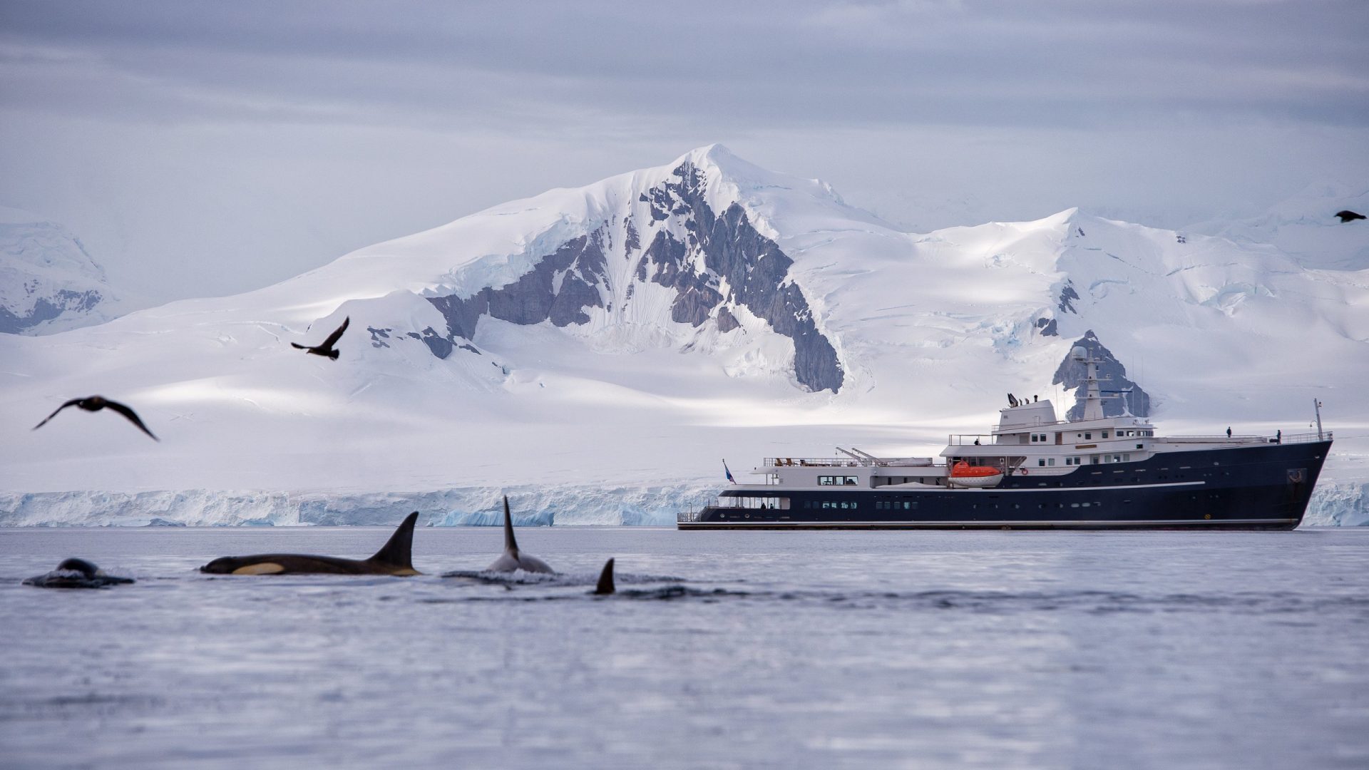 Superyacht exploring antartica